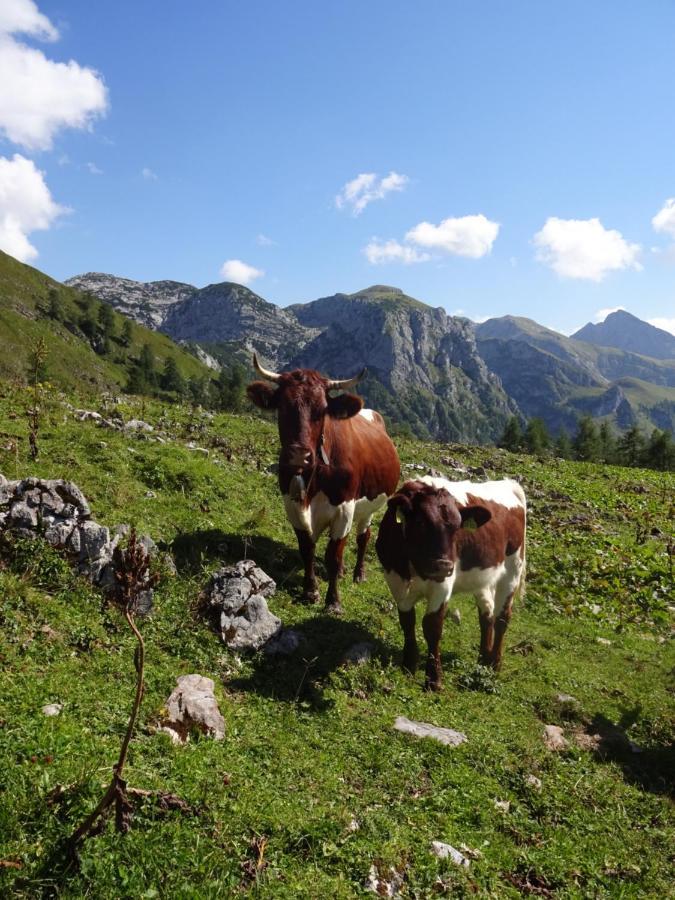 Apartmán Malterlehen-Berchtesgaden Exteriér fotografie