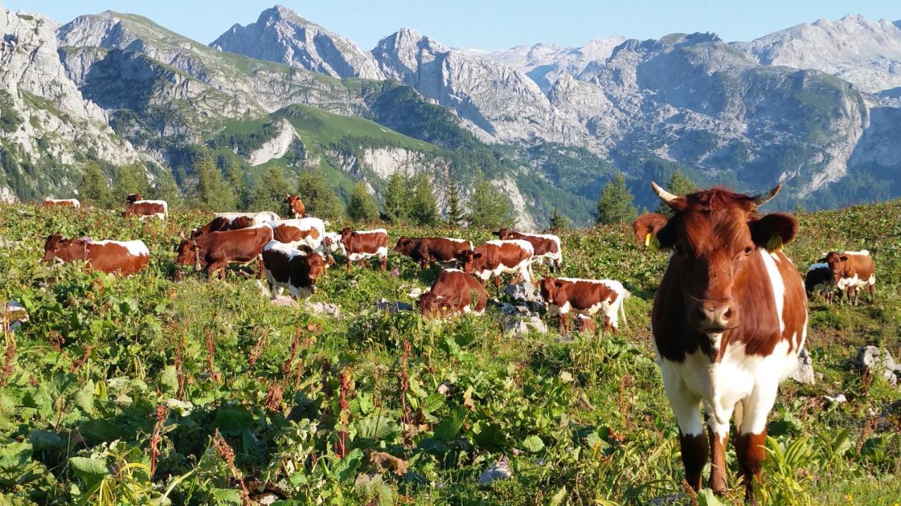 Apartmán Malterlehen-Berchtesgaden Exteriér fotografie